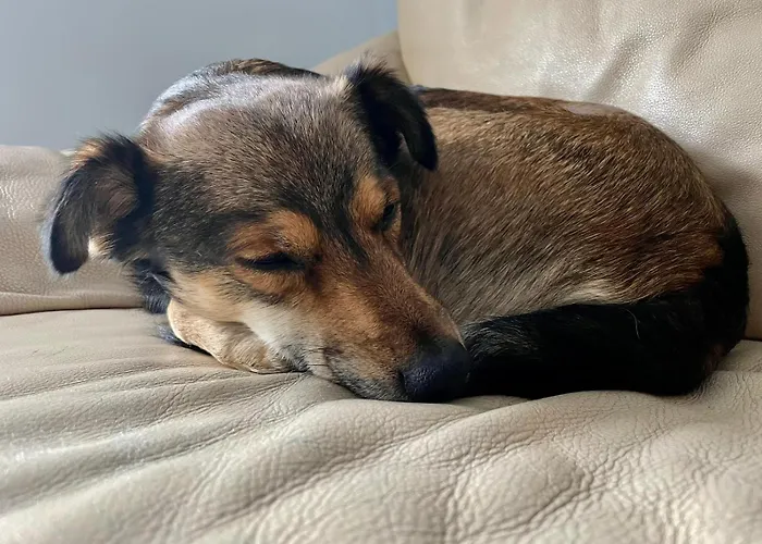 Matchpoint * Sanremo